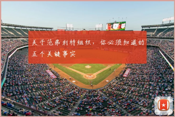 关于范弗利特组织，你必须知道的五个关键事实