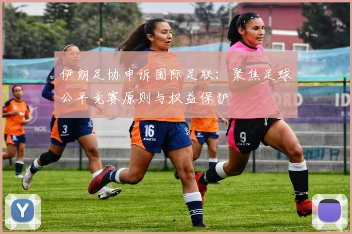 伊朗足协申诉国际足联:聚焦足球公平竞赛原则与权益保护