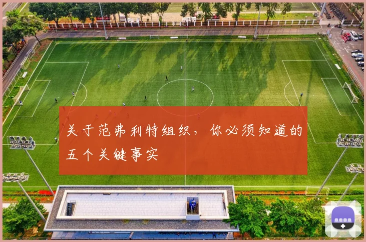 关于范弗利特组织,你必须知道的五个关键事实